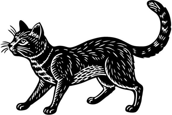 Black Cat Walking with Tail Raised